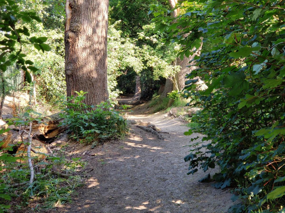 Luxury Self Catering With Cosy Cabin & Sauna In Colchester Eksteriør billede